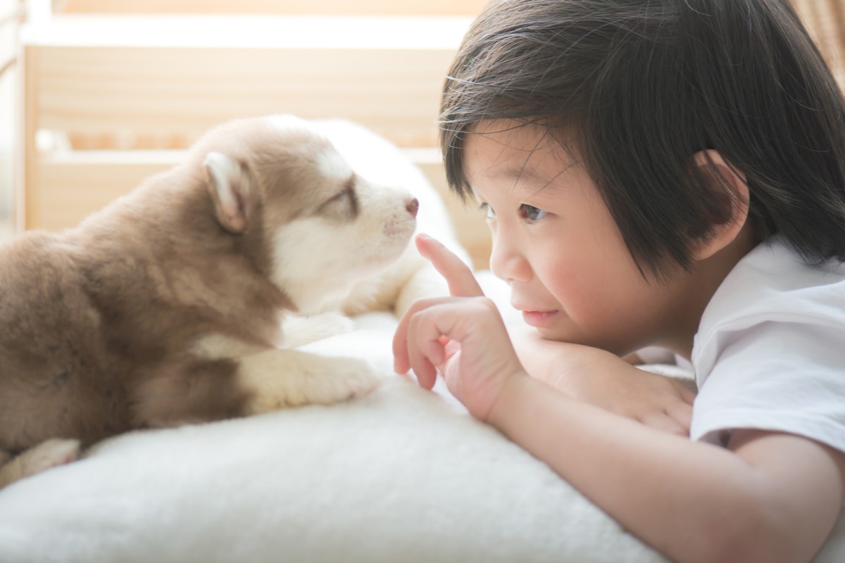 ペットを家族として迎え入れる方法とは？