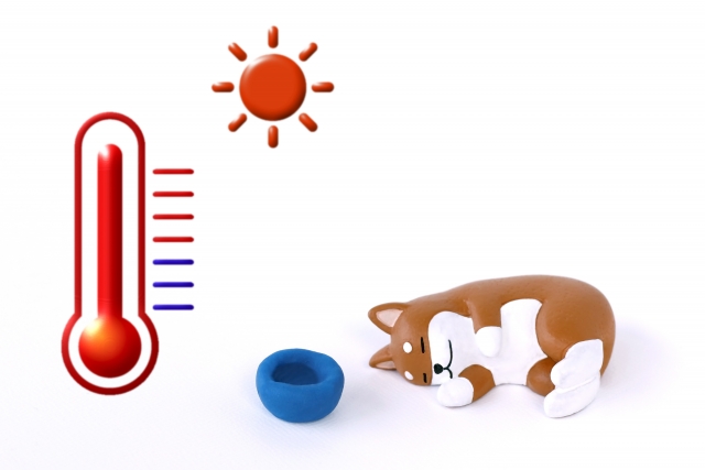 太陽と温度計と横になった犬の置物