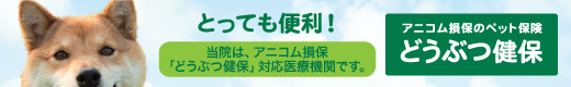 アニコム損保保険会社